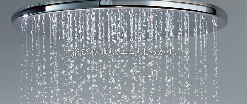 エアインシャワー