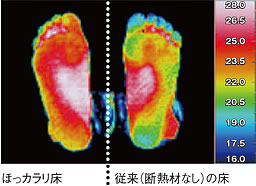 足裏温度測定結果